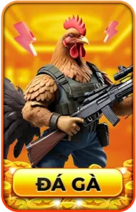 đá gà 13win